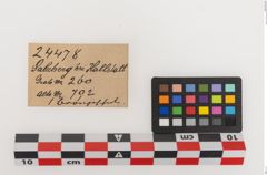Etiketten zu Bronzeschale (NHMW-PRAE-024478)